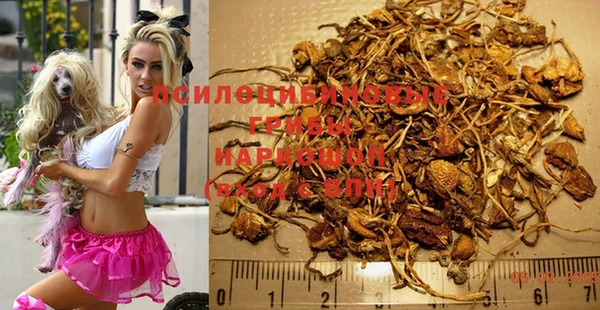 спайс Корсаков