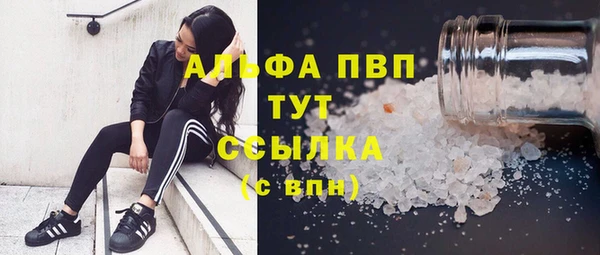 спайс Корсаков