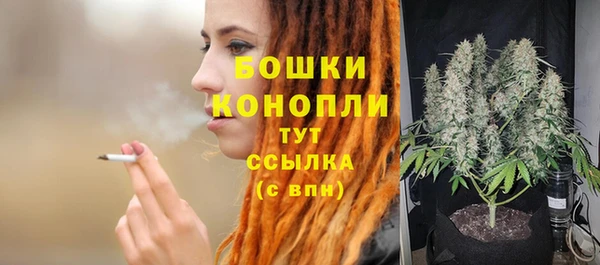 спайс Корсаков