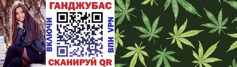 Купить где  Дивногорск  Каннабис план 